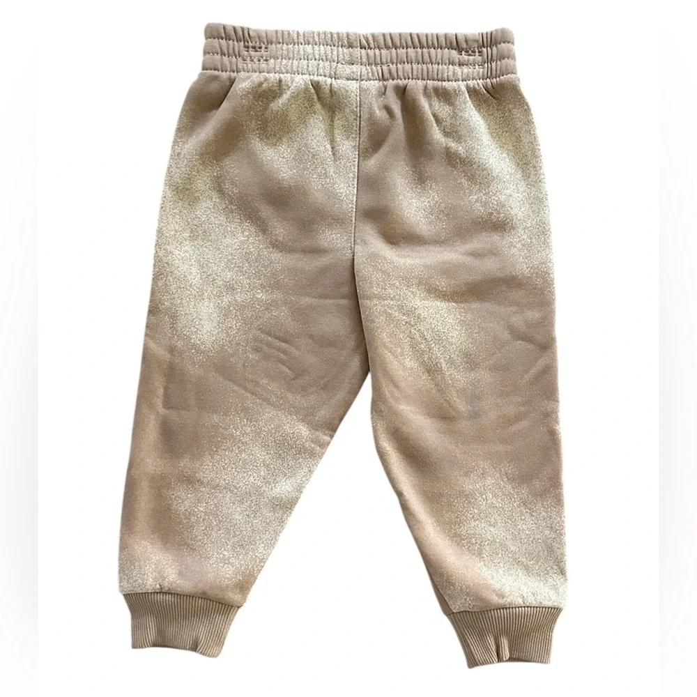 Nike Tan Khaki Logo Hooded Sweatshirt & Joggers Set Boys Size 4T NWT - Picture 4 of 5